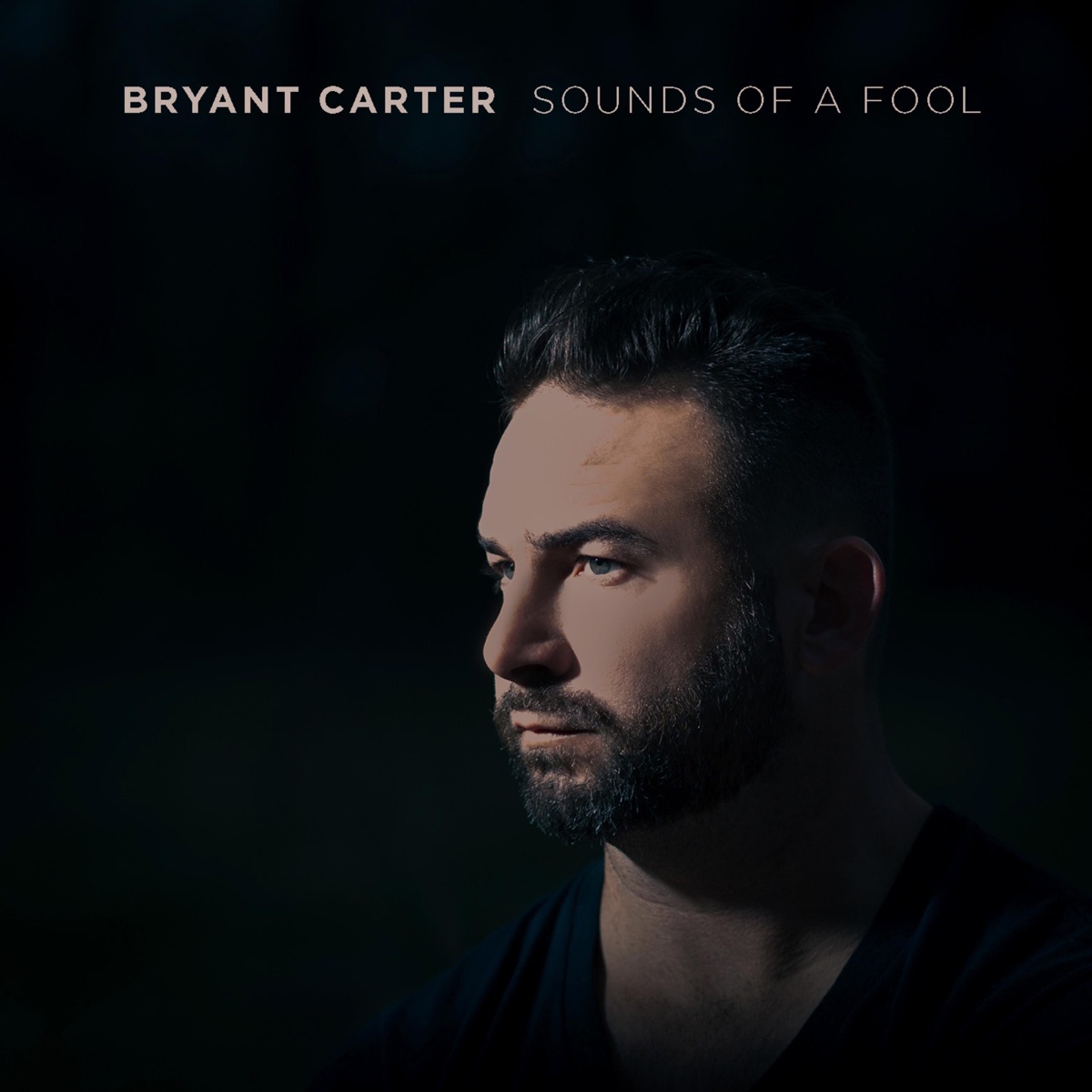 Sounds of a Fool